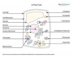 Search for the document you need to esign on your device and upload it. Lesson On Comparing Plant And Animal Cells With Worksheet Lovetoknow