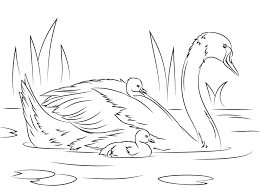 Swan Coloring Pages Best Coloring Pages For Kids Bird Coloring Pages Swan Drawing Coloring Pages