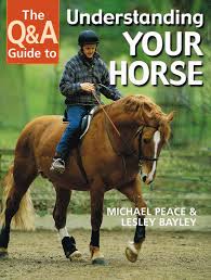 The Q&A Guide to Understanding Your Horse by Lesley Bayley, Michael Peace  (Hardcover, 2002) for sale online