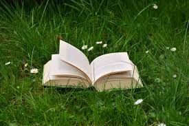 Image discovered by undercover girl. Beige Book Open On Green Grass Hd Wallpaper Wallpaper Flare
