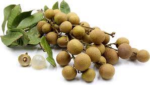 The tree with the dragon's eyesrising skyward, the ancient longan tree is a thing of beauty. Buy Longan Fruit Plant Online India Bangalore Agrico
