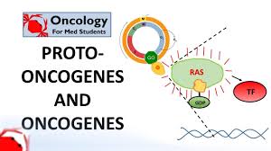 Image result for Oncogene
