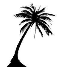 Silhouette Palm Tree Tattoo Design Tree Tattoo Designs Palm Tree Tattoo Tree Tattoo