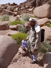 See 158 reviews, articles, and 377 photos of camel trekking excursions, ranked no.194 on tripadvisor among 1,557 attractions with many years of experience, we can help arrange transport, accommodation or whatever else you might need while in morocco. Egypt Hiking In The Sinai Gonomad Travel