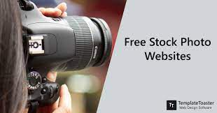 Albumarium is a beautifully done stock library featuring images for personal and commercial use. Free Stock Photo Sites In 2020 Templatetoaster Blog