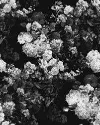 Pattern conformed by different kind of plants in black and white. Flowers Tumblr Black And White