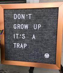 Includes 2 storage bags (black) : Letterboard Ideas Quotes And Sayings Week 1 Jaydeemahs Com