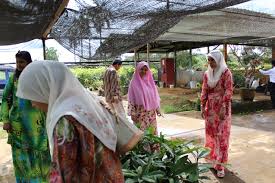 Tingkat 6&7,kompleks tun razak,bandar indera mahkota, kuantan, 25990, malaysia. Sm Pendidikan Khas Vokasional Kuantan Lawatan Ke Jabatan Pertanian Negeri Pahang