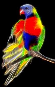 Animals of the pacific northwest: Pin On Fractal Illustrations
