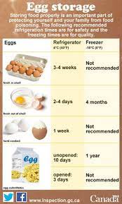 Products kept on the door are often exposed to. How Long Do Eggs And Egg Substitutes Keep Fresh Anywhere From 4 Weeks In The Fridge And 1 Year In The Freezer Food Food Spoilage Safe Food Storage
