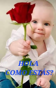 ROSAS HERMOSAS Y MAS