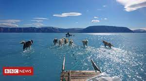 Джош гаррити — живущий в атланте инженер. Greenland S Unusual Melting Sea Ice Captured In Stunning Image Bbc News