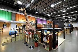 台北親子室內景點 新北市立圖書館江子翠分館兒童閱覽室 彩色貨櫃 橋樑棧板生活美學空間 隨處都是孩子的閱讀角 1 1 3 玩學樂生活