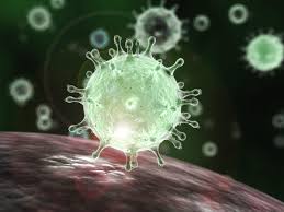 An intensive care unit treating coronavirus patients in a. How Does The Novel Coronavirus Compare With Mers Sars And The Common Cold Wvik