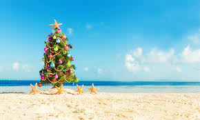 Skip to content below carousel. What S The Best Christmas Tree You Can Buy Wwf Australia Wwf Australia