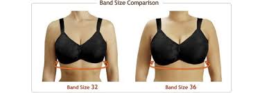 Easy As A B C The Bra Fitting Basics Lindas Unhooked Blog Bra Fitting Bra Pretty Outfits