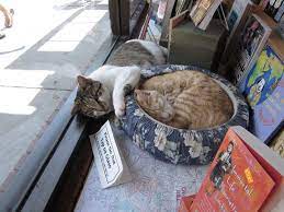 Unc chapel hill, like michigan, has a thriving social and research scene that draws in not only the best and brightest from all over the state, but all over the country and world. The Bookshop Of Chapel Hill Home Facebook