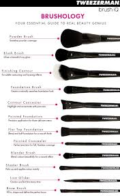 More importantly than the name on the handle of our makeup brushes, though, is the materials that. The Best Guide To Makeup Brushes And Their Uses Makeup Brushes Guide Diy Makeup Brush Eye Makeup Brushes