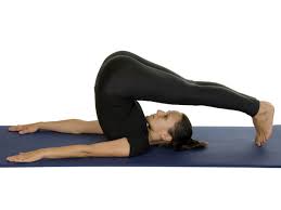 Principales variantes y asanas relacionadas. à²… à²¤ à²° à²· à²Ÿ à²° à²¯ à²¯ à²— à²¦ à²¨ à²†à²° à²— à²¯à²• à²• à²— 16 à²¯ à²— à²¸à²¨à²—à²³ Yoga Asanas For Good Health Kannada Boldsky