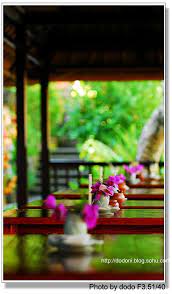 乌布 ubud 的古皇宫旁的莲花咖啡 lotus cafe