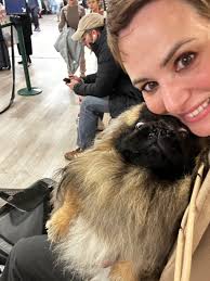 Dog Walking/Pet Sitting