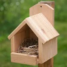 Maybe you would like to learn more about one of these? Most Up To Date Screen Bird House Kits Strategies You Ll Find Limitless Models Of Birdhouses On The Market Current Bird House Bird House Feeder Bird House Kits