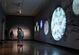 Image result for Ritchiea