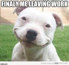 Happy Friday Puppy Imgflip He was damn right, and someone has started the great era of leaving work on friday memes.