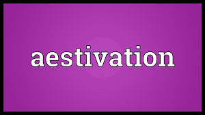 Image result for Aestivation