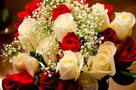 Le nostre rose di compleanno hanno bellissimi mazzi, composizioni floreali e persino vasi di rose. Fiori Compleanno Regalare Fiori Quali Fiori Scegliere Per Il Compleanno
