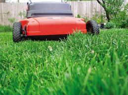 This covers lawn mowing, weed. What S The Right Height For Lawn Mowing Entertainment Life Goerie Com Erie Pa