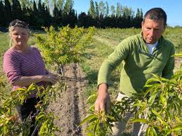 Les données sur la météo: Ddiq4ludlankem