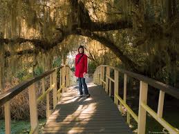 Maybe you would like to learn more about one of these? Charleston Plantations Guide 6 Plantations Near Charleston South Carolina