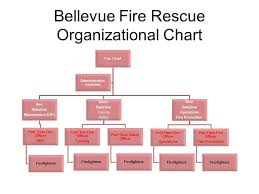 Organizational Chart Village Of Bellevue