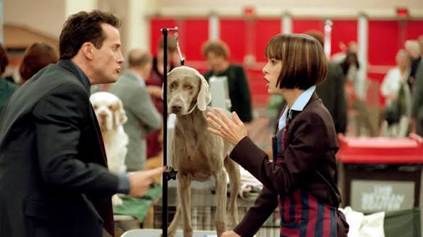 Best in Show 25th Anniversary | 2025 Tribeca Festival