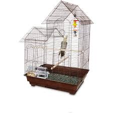 Enter your email address to receive alerts when we have new listings available for love birds pets at home. Pet Stores Near Me That Have Birds
