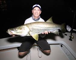 When fishing at night for snook, anglers are typically looking for boat docks that have lights on them. Saltwater Fishing Snook Articles Reelreports Com