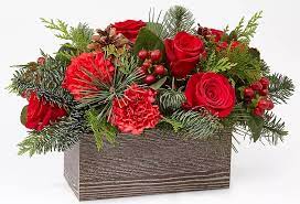 The christmas cactus has hanging flowers in shades of magenta and blooms, of course, near christmas. Best Online Christmas Flowers Finding Sea Turtles