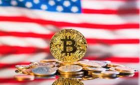 Top bitcoin sports betting sites & guide for 2021. Best Bitcoin Sports Betting Sites Usa 2020 Bitcoin Gambling