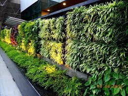 Vertical Gardening Systems Vertical Garden That Uses Modular Planting System Vertical Garden Vertical Garden Systems Vertical Garden Diy