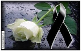 Monos De Luto Con Una Rosa Blanca Fotos De Luto Tarjetas De Condolencias Rosa De Luto