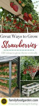 Another idea for succulent 'pots' is to fill of tube of some sort with potting soil and use these tubes to plant succulents in. Best Way To Grow Strawberries In Containers 2021 Family Food Garden