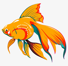 288 kb tag use as fish, golden fish, gold fish, aquarium fish, ornamental fish, you may also like article by png drive 97 Fish Graphics Group Jpg Freeuse Download Fish Clipart Png Gif 780x720 Png Download Pngkit