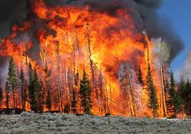 Active wildfires in washington the inciweb website provides information on large wildfires burning throughout the nation, including washington. Blog Tag Usda