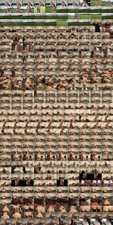 Tiffany Leiddi - Duels - Episode1, Soccer EN xFrenchies