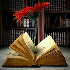 A world where cultivation is scientifically practiced. Mr Grey S Progenies Book 2 Ongoing Ktine Wattpad