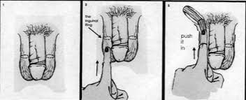 With some practice and the correct finger positions you can type „blindly on the keyboard. A Guide To Muffing The Hidden Way To Finger Trans Women