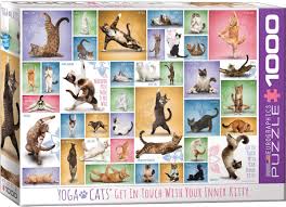1500 x 1083 jpeg 440 кб. Amazon Com Eurographics Yoga Cats 1000 Piece Puzzle Toys Games