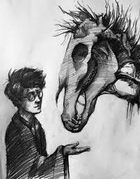 Harry's vision blinked into focus as he awoke, gradually becoming aware of his surroundings. Harry And Thestral Harry Potter Artwork Harry Potter Fan Art Harry Potter Art Drawings