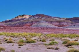 Petrified forest national park camping. Petrified Forest Scenic Drive Arizona Alltrails